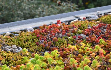 the cost of East Putford green roof installation