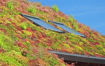 East Putford living roof systems
